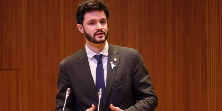 Cerni Escalé sobre el català al Consell General /Sergi Pérez