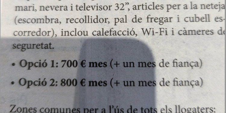Imatge de l'anunci de lloguer d'habitacions. Foto: Twitter.