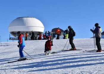 Augment del 12,3% en la contractació de temporers