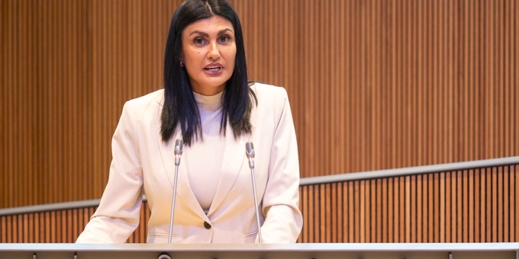 Carine Montaner al Consell General.