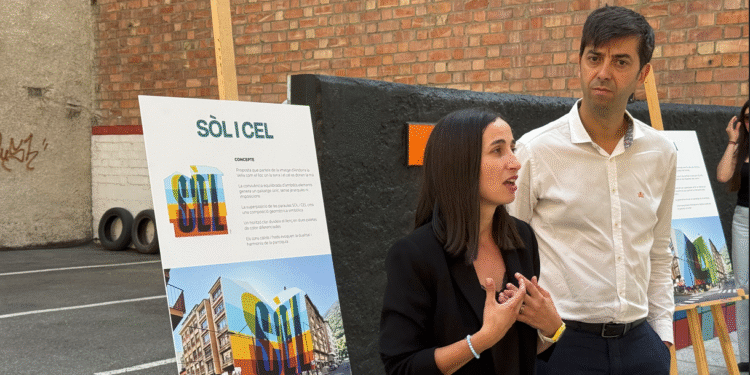El Comú encarrega a un estudi madrileny un mural a la zona de Riberaygua per 30.000 euros