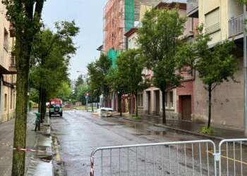 La Seu pateix els efectes del temporal amb diversos despreniments