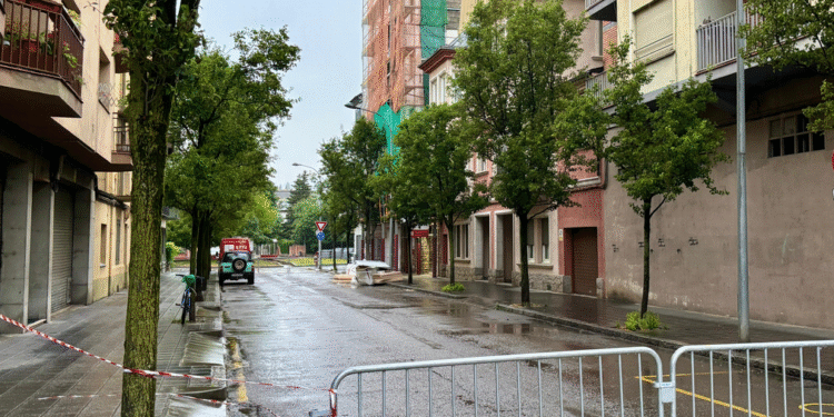 La Seu pateix els efectes del temporal amb diversos despreniments