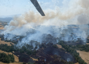 Imatge de l'incendi forestal a prop de Bassella.