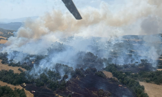 Imatge de l'incendi forestal a prop de Bassella.