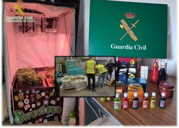 La Guàrdia Civil denúncia una botiga de cànnabis a la Seu