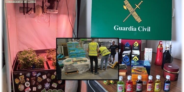 La Guàrdia Civil denúncia una botiga de cànnabis a la Seu