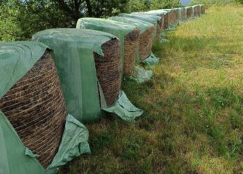 Preocupació per les destrosses a bales de palla a la Seu