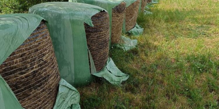 Preocupació per les destrosses a bales de palla a la Seu