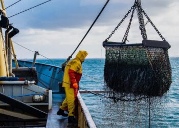 Imatge d'un pecador a alta mar. Foto: Ethic.