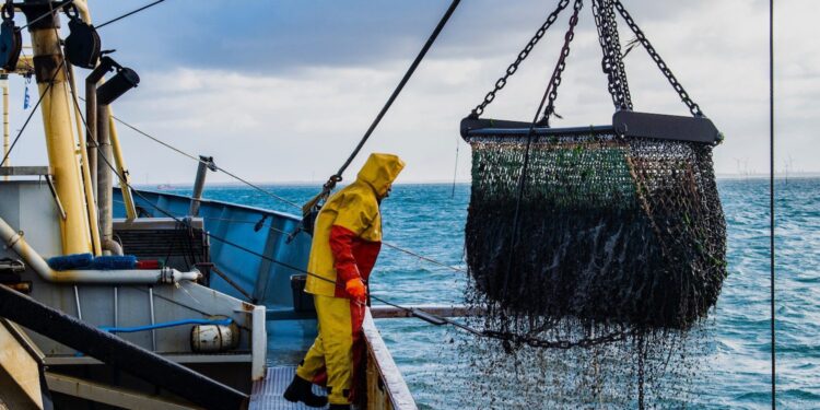 Imatge d'un pecador a alta mar. Foto: Ethic.