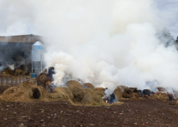 Fum provocat per l'incendi a Ribera d'Urgellet.