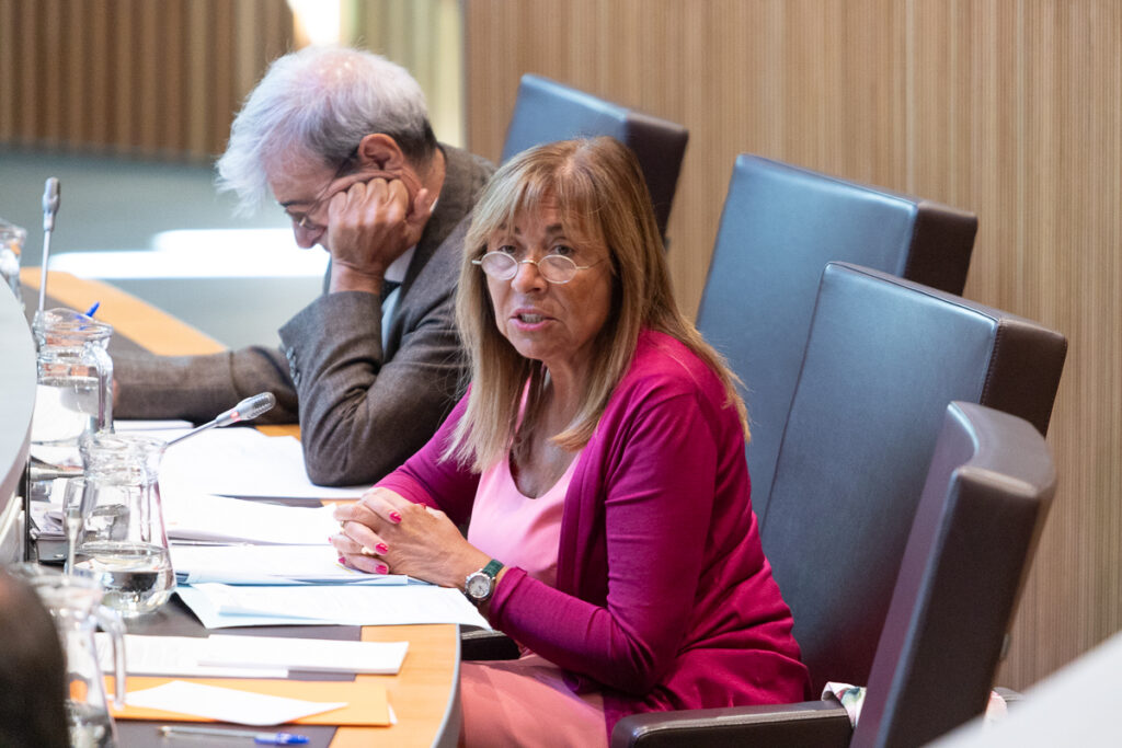 Conxita Marsol a la sessió d'avui del Consell General. Foto: Consell General.