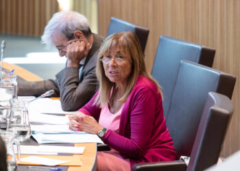 Conxita Marsol a la sessió d'avui del Consell General. Foto: Consell General.