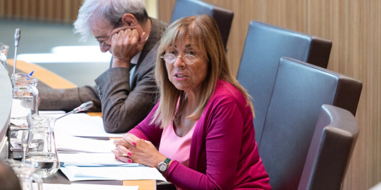 Conxita Marsol a la sessió d'avui del Consell General. Foto: Consell General.
