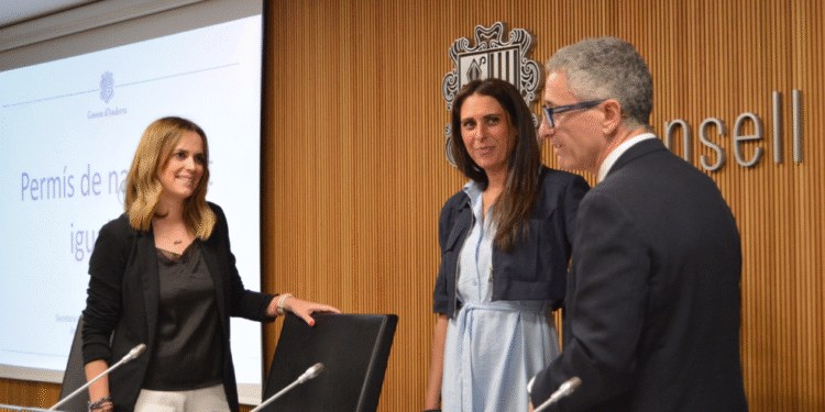 La secretària d’Estat d’Igualtat i Participació Ciutadana, Mariona Cadena, moments abans de la compareixença al davant de la comissió legislativa d’Afers Socials i Igualtat.