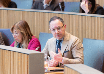 El cap de Govern, Xavier Espot, durant la seva resposta a les preguntes dels consellers generals.