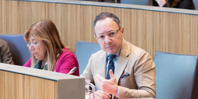 El cap de Govern, Xavier Espot, durant la seva resposta a les preguntes dels consellers generals.