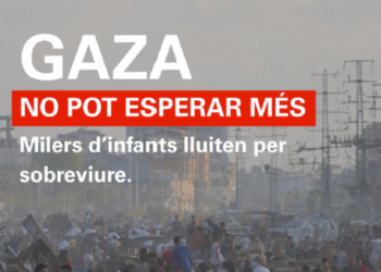 El cartell de difusió de la campanya.