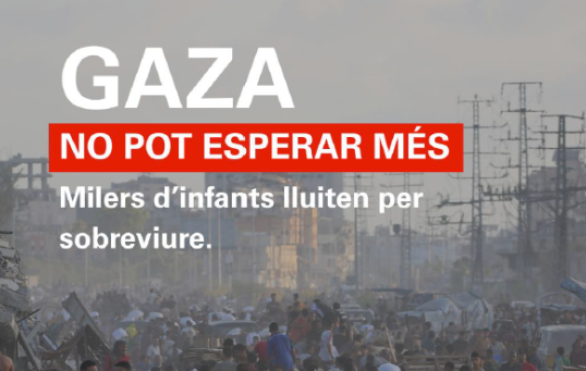 El cartell de difusió de la campanya.