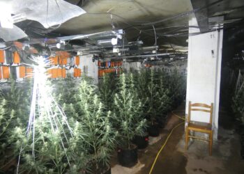 Desmantellada una plantació de marihuana en un antic prostíbul de Ribera d’Urgellet