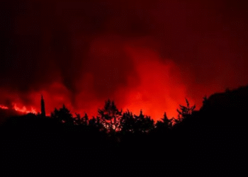 Un mort i 2.500 llars sense llum al sud de França per un incendi de més d’11.000 hectàrees