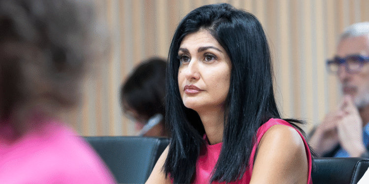 Montaner diu que una coalició Liberals-CC “no canvia” que Andorra Endavant es presentarà el solitari