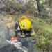 Un llamp provoca un incendi a Alins que ha cremat 8.000 m²