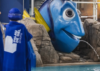 La Piscina del Palau de Gel recupera l’activitat amb preus de 8 euros per infants i 10 per adults