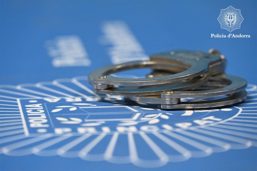 La policia ha arrestat a l'autor dels fets. Foto: Policia.