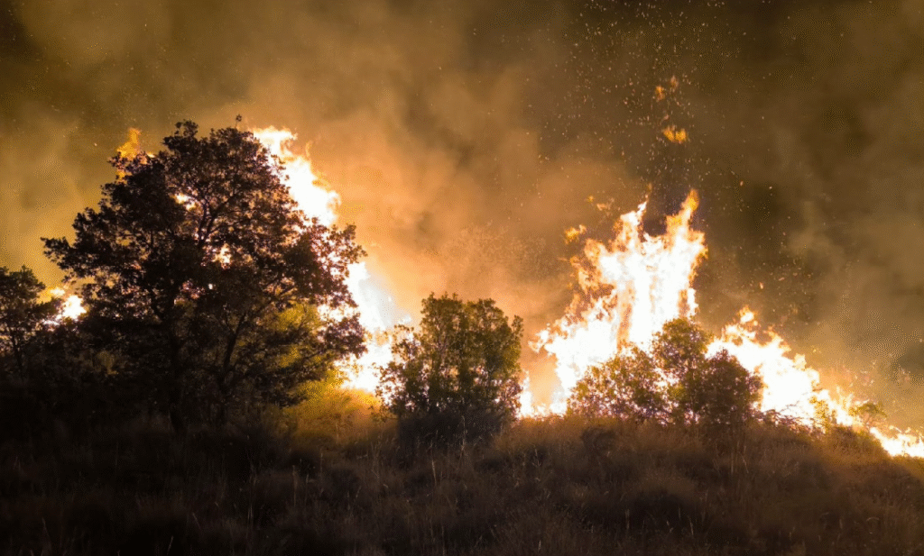 Incendi a Castellmur.