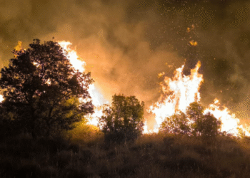 Incendi a Castellmur.