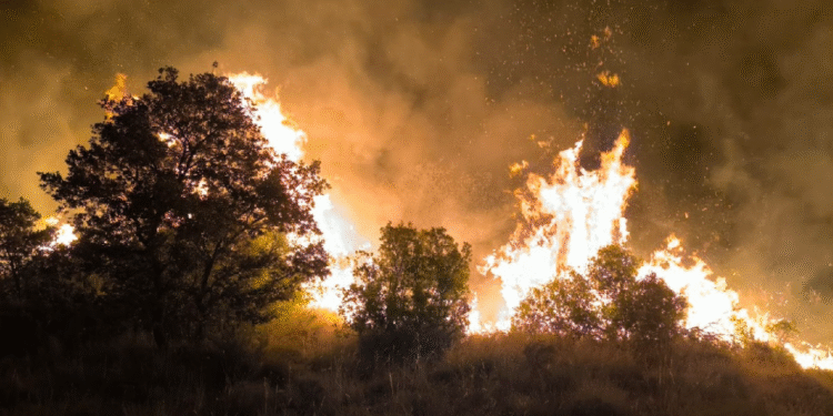 Incendi a Castellmur.