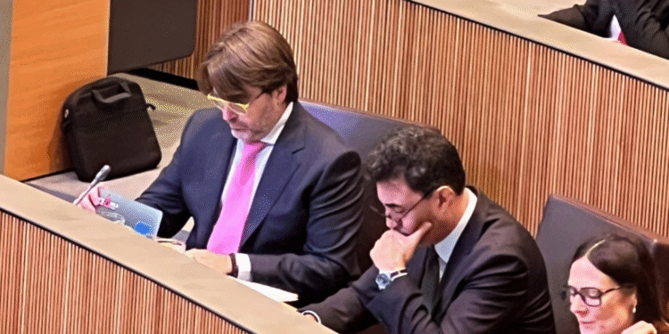 Els demòcrates ‘desconfien’ del projecte de partit nacional de dretes de Ciutadans Compromesos