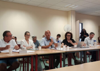 Pallarès diu que les dones pateixen més la crisi de l’habitatge per la major precarietat laboral