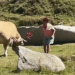 El vídeo on una senyora colpeja una vaca amb una bossa al Pas de la Casa