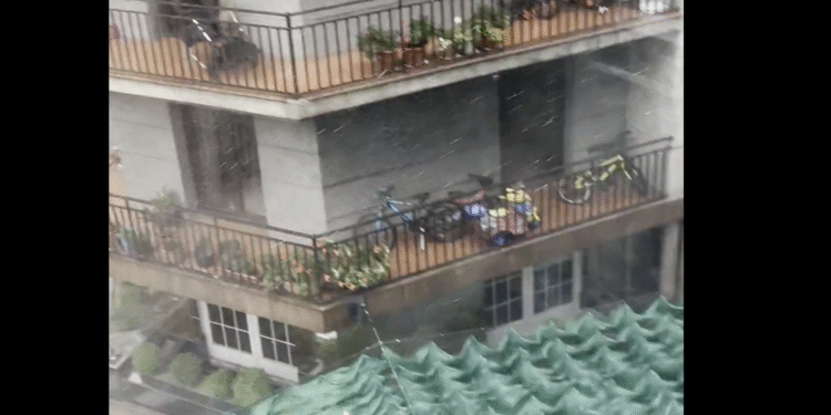 Imatge del vídeo. Foto: Xarxes.