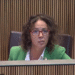 Darrera intervenció de Judith Casal com a consellera general.