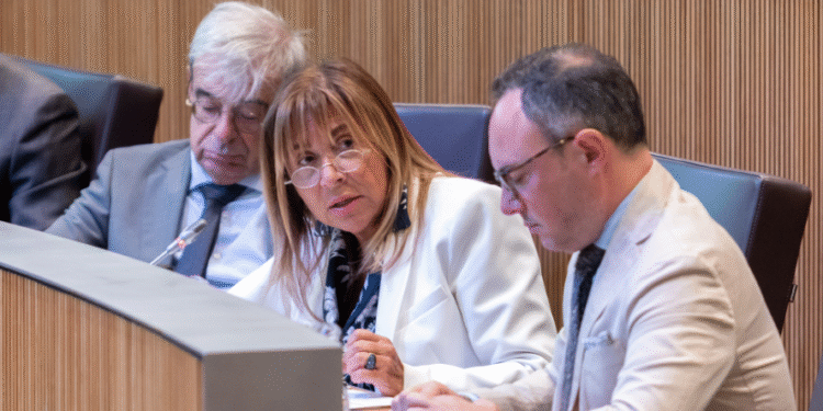 La titular de Presidència, Economia, Treball i Habitatge, Conxita Marsol, durant una de les seves intervencions.