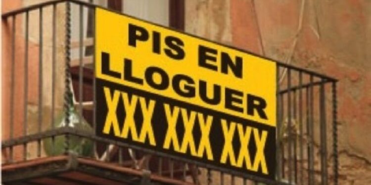 Cartell de pis en lloguer. Foto: Arxiu.