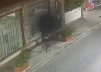 El vídeo de com un propietari s’absté de recollir les deposicions del seu gos a Sant Julià