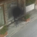El vídeo de com un propietari s’absté de recollir les deposicions del seu gos a Sant Julià