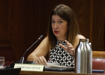 Leire Díez compareixent en el Senat espanyol. Foto: LD.