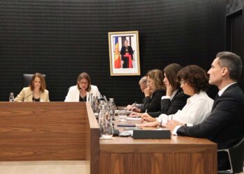 La minoria demòcrata qüestiona la repercussió real del Projecte Caldes