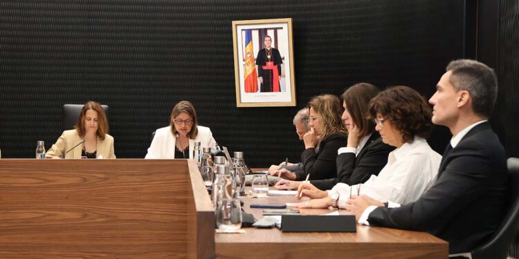 La minoria demòcrata qüestiona la repercussió real del Projecte Caldes