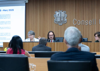 Un moment de la compareixença, del secretari d'Estat per a les Relacions amb la Unió Europea, Landry Riba, al davant de la comissió legidlativa de Política Exterior el passat mes de juliol. / Foto: Consell General