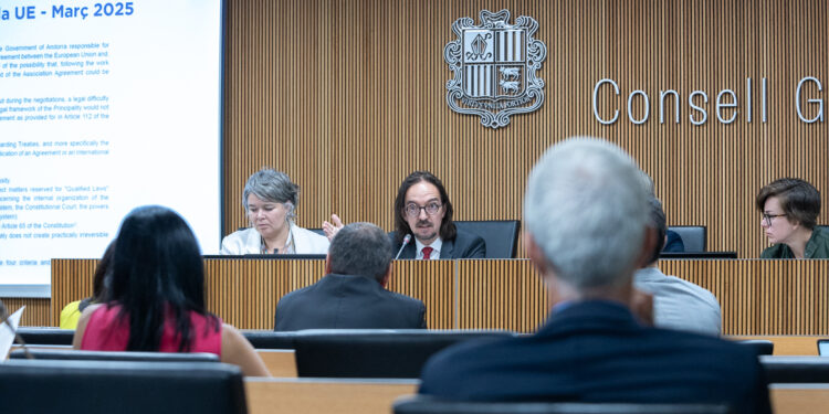 Un moment de la compareixença, del secretari d'Estat per a les Relacions amb la Unió Europea, Landry Riba, al davant de la comissió legidlativa de Política Exterior el passat mes de juliol. / Foto: Consell General