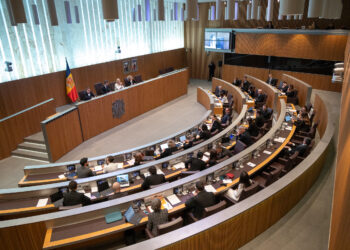 Una sessió del Consell General. Foto: Consell General