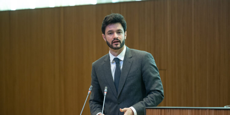 El president del grup parlamentari de Concòrdia, Cerni Escalé. Foto: Consell General / Sergi Pérez