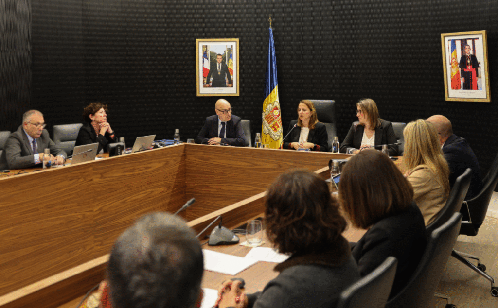 Un moment de la sessió de consell de comú d'Escaldes-Engordany d'aquest dijous.